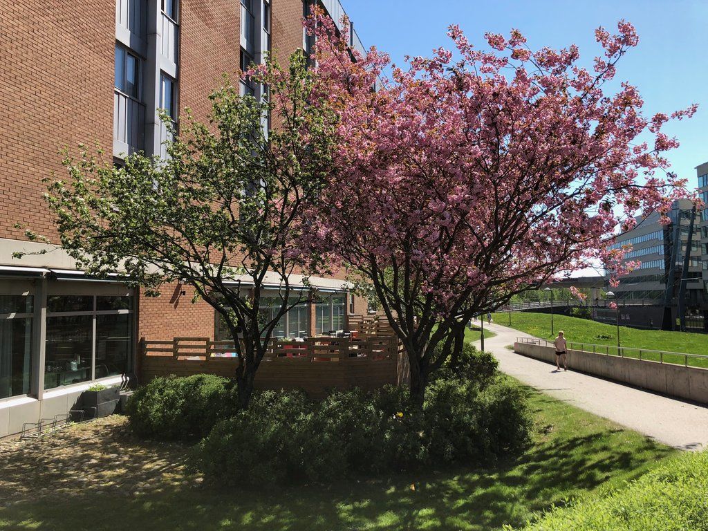 Scandic Kista Stockholm Bagian luar foto